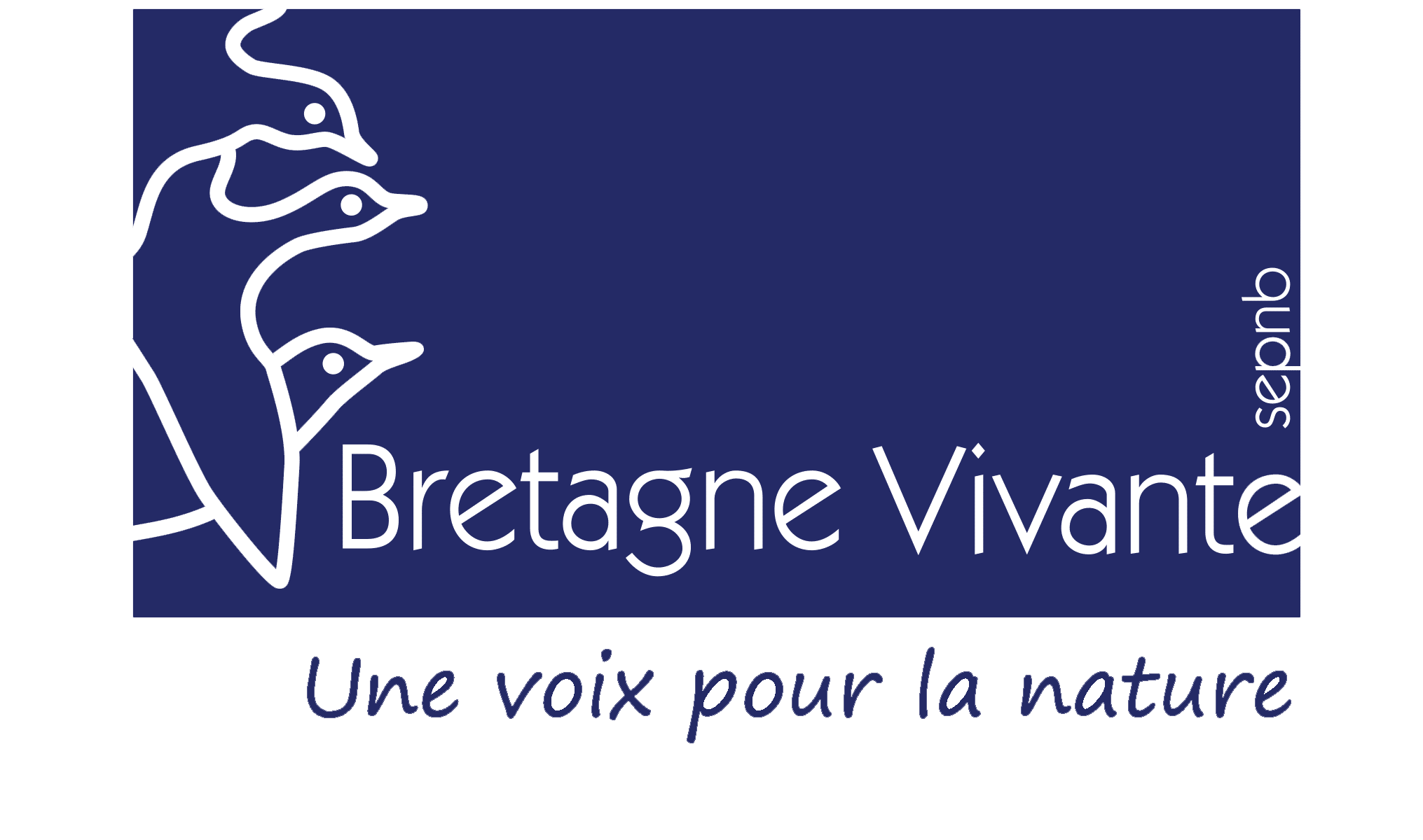 Bretagne vivante, appelée aussi Société pour l'étude et la protection de la nature en Bretagne (BV) logo