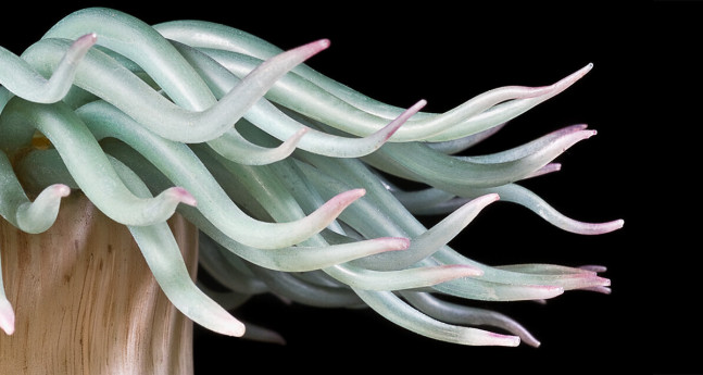 Expedition to the World's Oceans