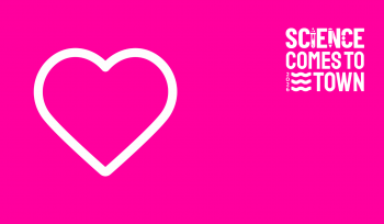 Gutes Essen – schlechtes Essen? Was sind „ultra-verarbeitete Lebensmittel“ und wie wirken sie sich auf unsere Gesundheit aus?