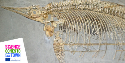 Permanent exhibition of the Geological and Mineralogical Museum of Kiel University