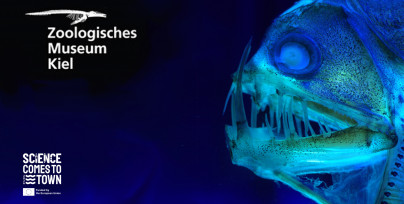 Permanent exhibitions of the Zoological Museum Kiel