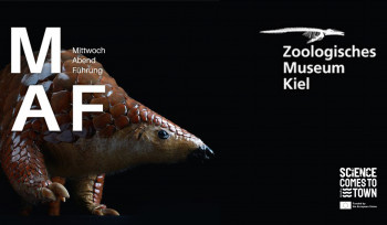 Wednesday Evening Tours: Of Diggers, Borers, and Tunnel Builders – The Diversity of Excavating Lifestyles in the Animal Kingdom